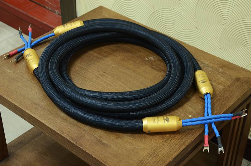 荷蘭 銀彩 SILTECH G7 EMPEROR Double Crown 雙皇冠喇叭線 3m