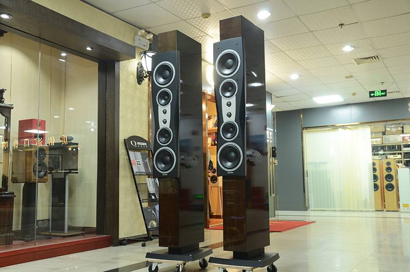 丹拿 Dynaudio Confidence C4 Signature 签名版 落地音箱